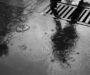 Brunswick Drains: Why They Can Be An Issue For Shared Houses